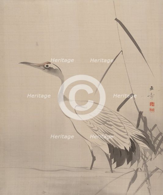Crane Among Reeds, 1887-92. Creator: Gyokusho Kawabata.
