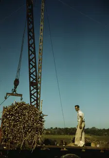 Crane at a "central" sugar cane gathering place, San Sebastian vicinity, Puerto Rico, 1942. Creator: Jack Delano