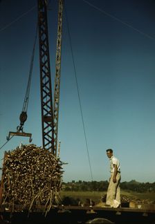 Crane at a "central" sugar cane gathering place, San Sebastian vicinity, Puerto Rico, 1942. Creator: Jack Delano