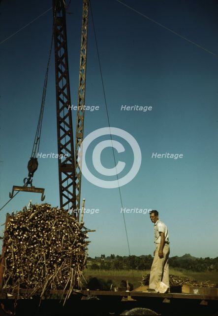 Crane at a "central" sugar cane gathering place, San Sebastian vicinity, Puerto Rico, 1942. Creator: Jack Delano.