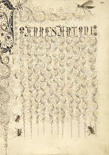 Crane Fly and Ants; Mira calligraphiae monumenta, 1561-1562; illumination added 1591-1596. Creator: Joris Hoefnagel