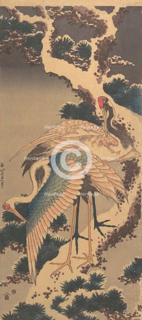 Cranes on Branch of Snow-covered Pine, late 1820s. Creator: Hokusai.