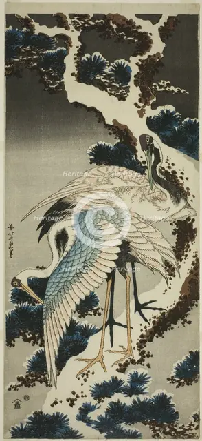 Cranes on snow-covered pine, Japan, c. 1834. Creator: Hokusai.