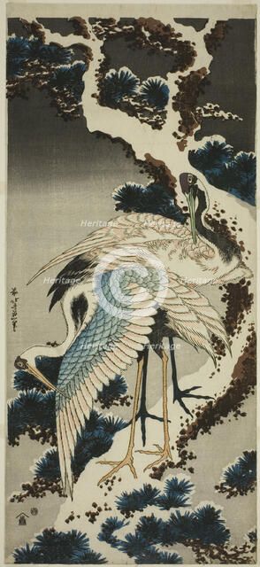 Cranes on snow-covered pine, Japan, c. 1834. Creator: Hokusai.