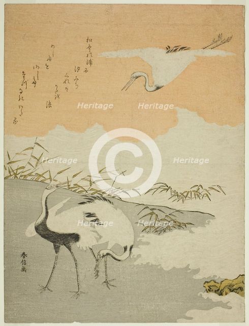 Cranes at the Sea Shore, c. 1768. Creator: Suzuki Harunobu.
