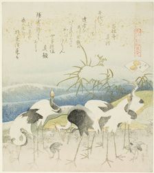 Cranes by the Shore, illustration for The Leg Shell (Ashigai), from the series "A Matching...,1821. Creator: Hokusai