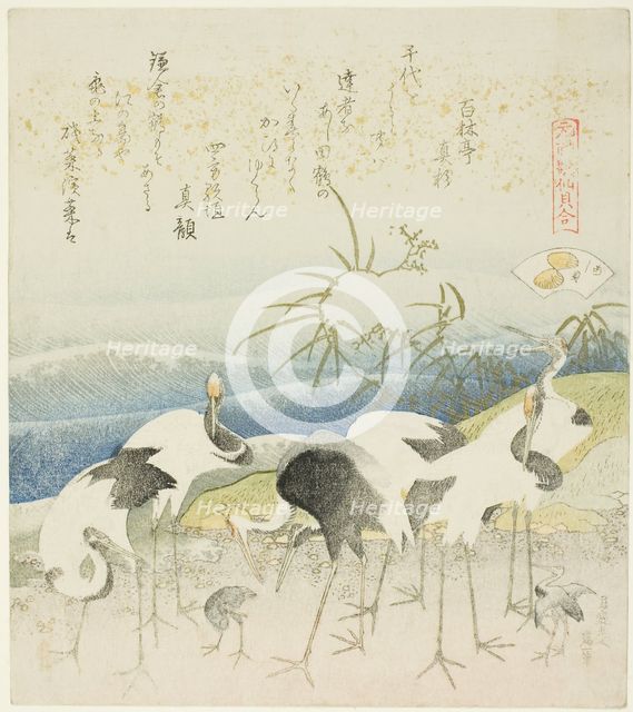 Cranes by the Shore, illustration for The Leg Shell (Ashigai), from the series "A Matching...,1821. Creator: Hokusai.