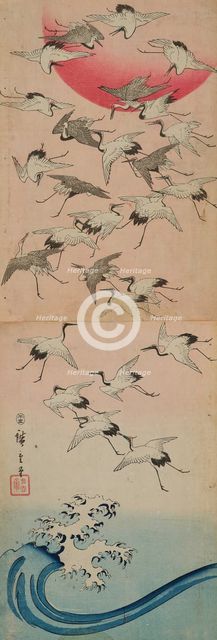 Cranes. Creator: Hiroshige, Utagawa (1797-1858).