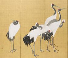 Cranes (image 3 of 20), An'ei period (1772-1780). Creator: Maruyama Okyo