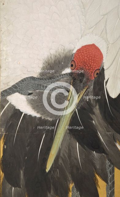 Cranes (image 6 of 20), An'ei period (1772-1780). Creator: Maruyama Okyo.