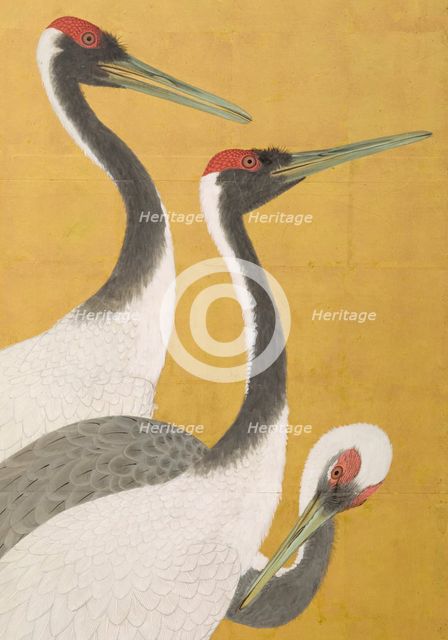 Cranes (image 7 of 20), An'ei period (1772-1780). Creator: Maruyama Okyo.