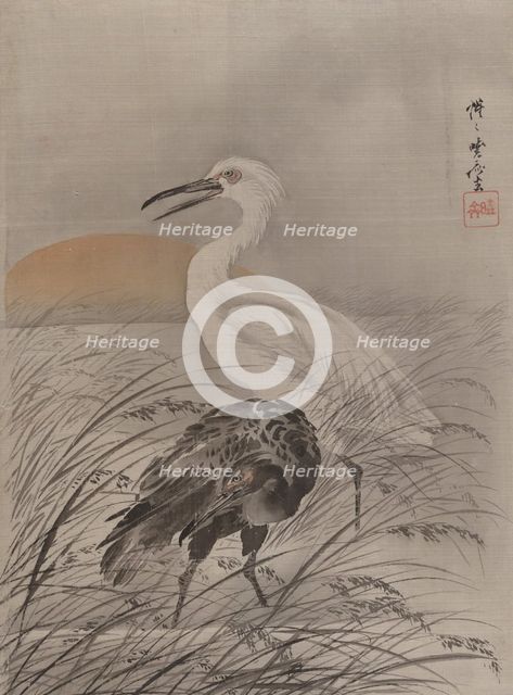 Cranes in Marsh, ca. 1887. Creator: Kawanabe Kyosai.