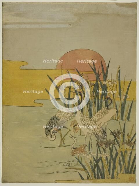 Cranes in an Iris Pond at Sunrise, c. 1774. Creator: Isoda Koryusai.