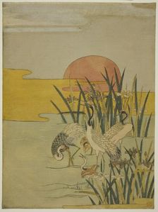 Cranes in an Iris Pond at Sunrise, c. 1774. Creator: Isoda Koryusai