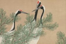Cranes (Tsuru). From the series "A World of Things (Momoyogusa)", 1909-1910. Creator: Sekka, Kamisaka (1866-1942)