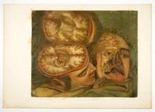 Cranial Dissection, plate five from Anatomy of the Head, in Printed Paintings, 1748. Creator: Jacques Fabian Gautier Dagoty