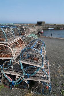 Craster, 2006. Creator: Ethel Davies