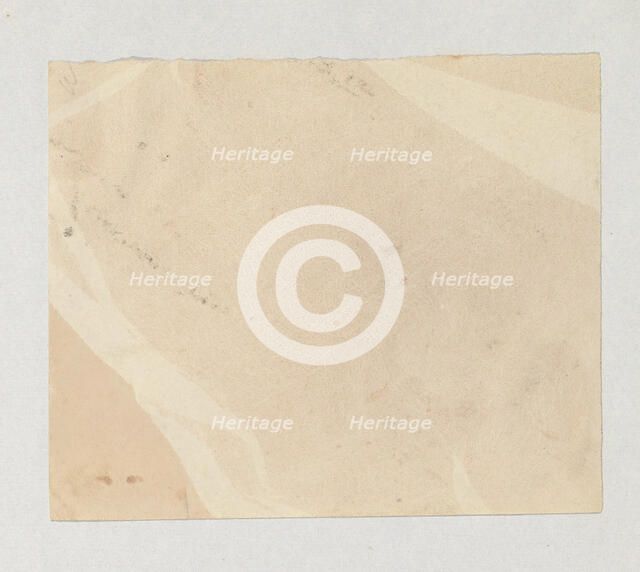 Crape, 1839-40. Creator: William Henry Fox Talbot.