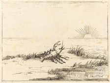 Crayfish Looking at the Sun, 1628. Creator: Jacques Callot