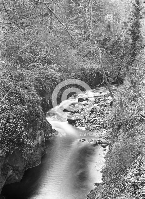 Creek/river unknown location, c1900s. Creator: Robert Augustus Henry L'Estrange.