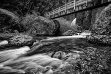 Creeping. Creator: Joshua Johnston