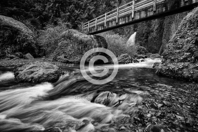 Creeping. Creator: Joshua Johnston.