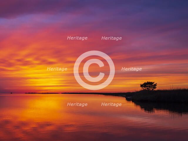 Crescendo. Creator: Eve Turek.