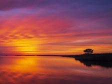 Crescendo. Creator: Eve Turek