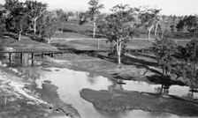 Cressbrook Creek, 1925. Creator: Jack Bain
