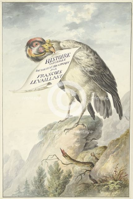 Crested vulture with a sheet of paper in its beak, 1763-1824.  Creator: Circle of François Le Vaillant.