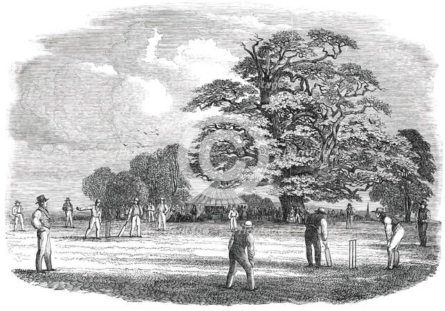 Cricket - drawn by Duncan, 1850. Creator: Duncan.