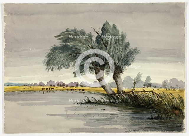 Cringleford Meadows-Morning, n.d. Creator: Unknown.