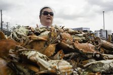 Crisfield, MD. Creator: Chris Suspect