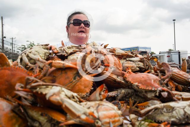 Crisfield, MD. Creator: Chris Suspect.