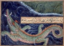 Crocodile, 1590. Creator: Sarwan