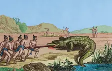 Crocodile hunting, Florida, 16th century French expedition, (1837), (1850). Creator: Claude-Francois Fortier