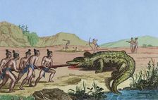 Crocodile hunting, Florida, 16th century French expedition, (1837), (1850). Creator: Claude-Francois Fortier