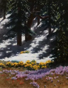 Crocuses and Marsh-Marigolds, July 23, 1907. Creator: Stanislaw Witkiewicz