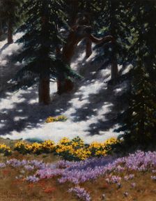 Crocuses and Marsh-Marigolds, July 23, 1907. Creator: Stanislaw Witkiewicz