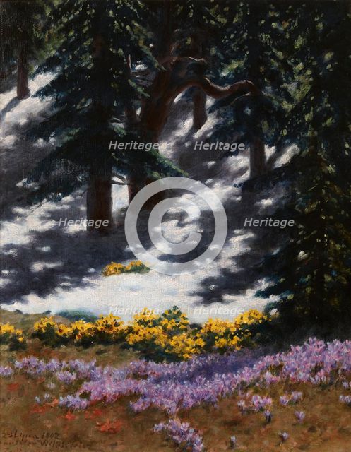 Crocuses and Marsh-Marigolds, July 23, 1907. Creator: Stanislaw Witkiewicz.