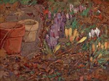 Crocuses, date unknown, c1875-1935. Creator: William Forsyth
