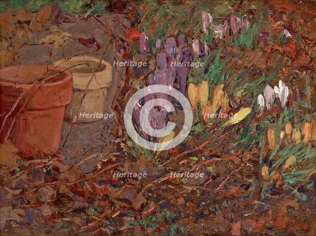 Crocuses, date unknown, c1875-1935. Creator: William Forsyth.