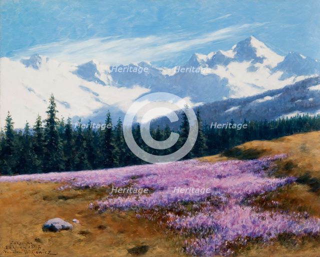 Crocuses with Snowy Mountains Behind, July 29, 1897. Creator: Stanislaw Witkiewicz.