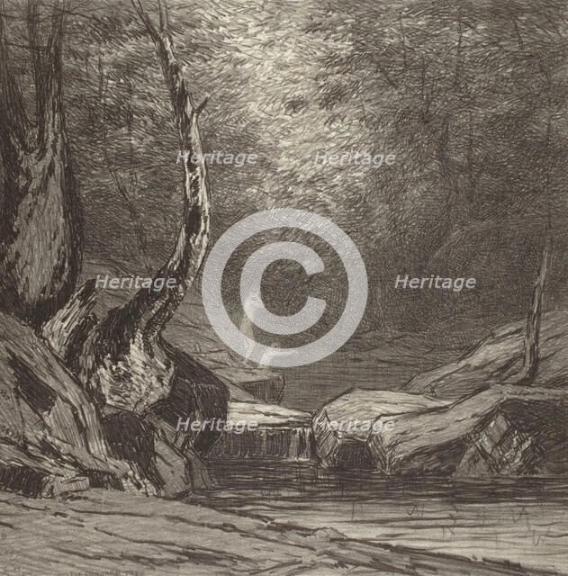 Crooked Tree, c1920s. Creator: Bolton Coit Brown.