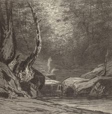 Crooked Tree, c1920s. Creator: Bolton Coit Brown