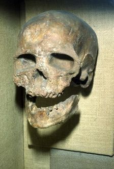 Cromagnon Skull Upper Paleolithic from France, c50,000BC-c10,000 BC