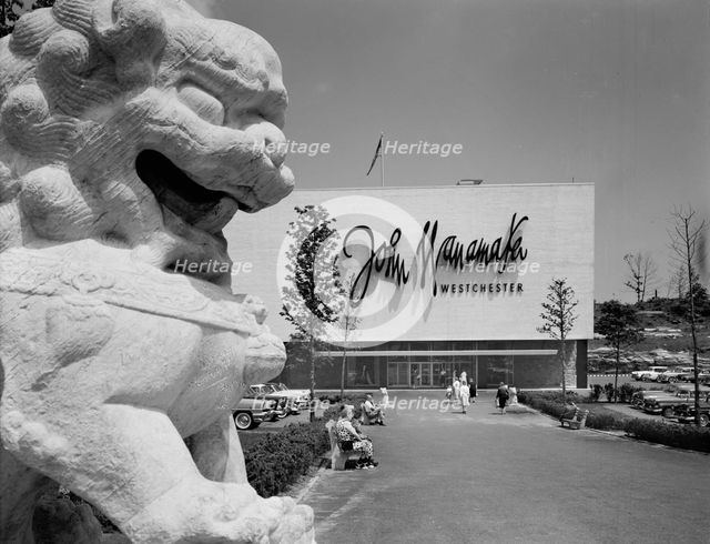 Cross County Shopping Center, 1956. Creator: Gottscho-Schleisner, Inc.