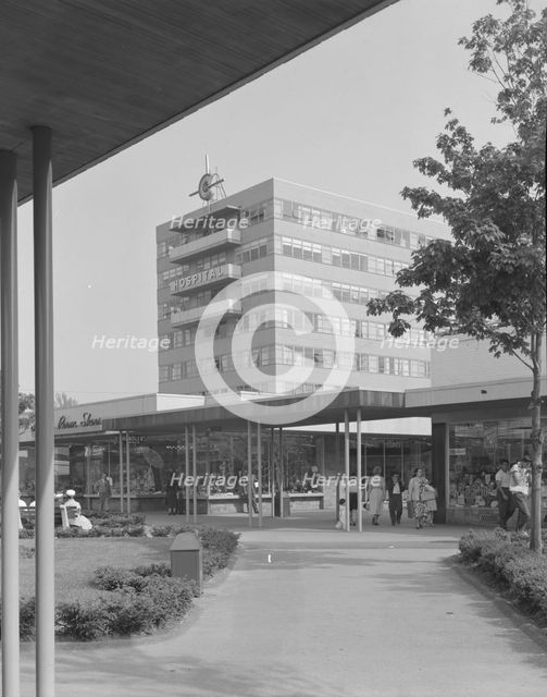 Cross County Shopping Center, 1956. Creators: Gottscho-Schleisner, Inc, Lathrop Douglass.