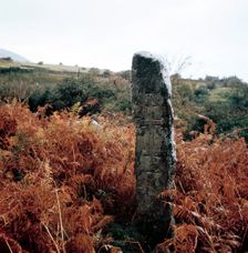Cross-inscribed ogham stone, Dromkeare, Co.Kerry, Ireland