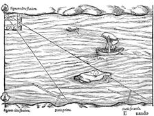 Cross-staffs used for surveying, 1551. Creator: Unknown